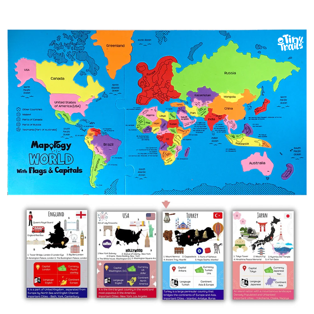 Mapology World Map With Flash Card